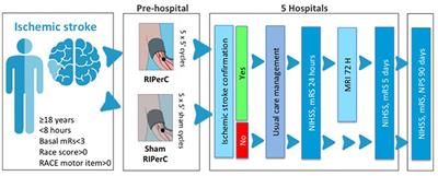 REMOTE Ischemic Perconditioning Among Acute Ischemic Stroke Patients in Catalonia: REMOTE-CAT PROJECT
